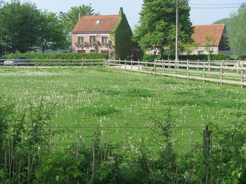 B&B Le Plat Pays Oostkamp-Brugge Exterior photo